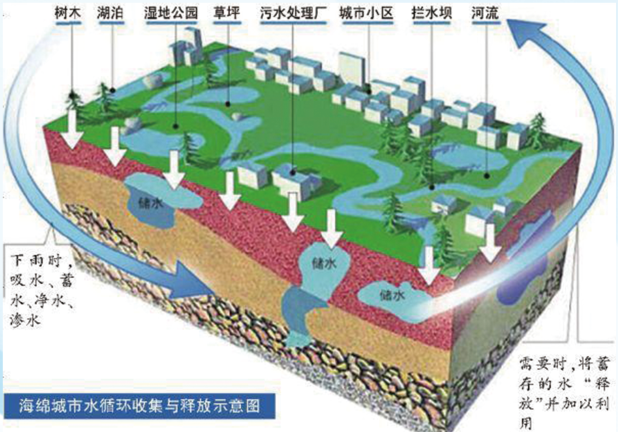 海绵城市概念